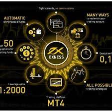 ВХОД В EXNESS: ПОЛУЧИТЕ ДОСТУП К ВАШЕМУ АККАУНТУ НА EXNESS COM